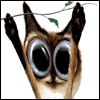 Hang in There -- Funny Friendship Greeting Cards project from Yahoo! Greetings