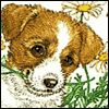 For Granddaughter -- Just Because Family Greeting Cards project from Yahoo! Greetings