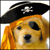 Shiver Me Timbers --  project from Yahoo! Greetings