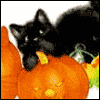 Special Family Member -- Family Halloween Greeting Cards project from Yahoo! Greetings