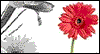 Te Acompañamos en Tus Sentimientos -- Spanish Sympathy eCard from Yahoo! Greetings