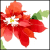 Special Caregiver -- Special Someone Season's Greeting Cards project from Yahoo! Greetings