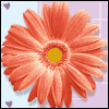 For Special Relative --  project from Yahoo! Greetings