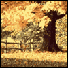 Wonderful Husband -- Significant Other Thanksgiving Greeting Cards project from Yahoo! Greetings
