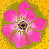 Love for Niece -- Extended Family Thanksgiving Greeting Cards project from Yahoo! Greetings