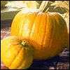 A Thanksgiving Prayer -- Everyday Thanksgiving Greeting Cards project from Yahoo! Greetings