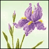 Friendships Bloom --  project from Yahoo! Greetings