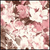 A Very Special Time -- Bridal Shower Greeting Cards project from Yahoo! Greetings