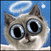Purr-fect Christmas -- Funny Christmas Greeting Cards project from Yahoo! Greetings