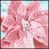 To a Dear Relative -- Extended Family Christmas Greeting Cards project from Yahoo! Greetings
