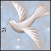 Wish for Peace Add-a-Photo -- New Years Greeting Cards for Anyone project from Yahoo! Greetings