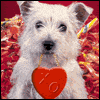 Someone Special -- Kids Valentines Day Greeting Cards project from Yahoo! Greetings