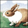 Dear Son and Family -- Kids Easter Greeting Cards project from Yahoo! Greetings