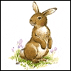 Dear Daughter & Family -- Kids Easter Greeting Cards project from Yahoo! Greetings