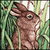 Wonderful Son -- Kids Easter Greeting Cards project from Yahoo! Greetings