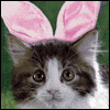 From the Cat -- Funny Easter Card project from Yahoo! Greetings