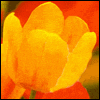 Our Special Love -- Love Easter Greeting Cards project from Yahoo! Greetings
