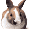 To Somebunny Terrific -- Kids Easter Greeting Cards project from Yahoo! Greetings