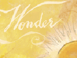 New Year's Wonder 