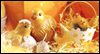 Beautiful Easter: Free Easter ecard from Egreetings