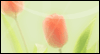 Blossoming Spring -- Celebrate Spring eCard from Yahoo! Greetings