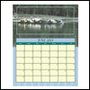 Morning Lake -- Nature's Portraits Calendars project from Yahoo! Greetings