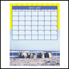 Sand Castles -- Nature's Portraits Calendars project from Yahoo! Greetings