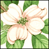 Special Friend -- Passover Greeting Cards project from Yahoo! Greetings