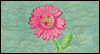 You Make the World Beautiful -- Friends Mother's Day eCard from Yahoo! Greetings