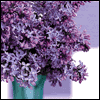 For Daughter-in-law -- Mother's Day Greeting Cards For Daughters project from Yahoo! Greetings