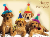 Singing Dogs 