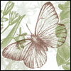 Admired Stepfather -- Fathers Day Greeting Cards Like a Dad project from Yahoo! Greetings
