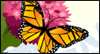 Beautiful Day -- Celebrate Spring eCard from Yahoo! Greetings