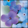 In Sympathy -- Loss of Loved Ones Sympathy Greeting Cards project from Yahoo! Greetings