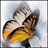You Are Not Alone -- Religious Sympathy Card project from Yahoo! Greetings