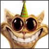 It's Your Birthday -- Twisted Whiskers Birthday Greeting Cards project from Yahoo! Greetings