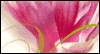 Secret to Happiness -- Special People Mother's Day eCard from Yahoo! Greetings