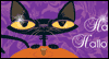 Cool Cat --  eCard from Yahoo! Greetings