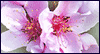 Your Gift Meant a Lot -- Gift Thank You eCard from Yahoo! Greetings