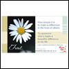 A Beautiful Difference -- Friendship Message Greeting Cards project from Yahoo! Greetings