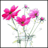 Get Your Rest -- Get Well Greeting Cards For Anyone project from Yahoo! Greetings