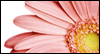 3/8 International Women's Day --  eCard from Yahoo! Greetings