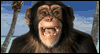 You Look Like a Monkey --  eCard from Yahoo! Greetings