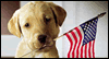 5/8 National Military Appreciation Day --  eCard from Yahoo! Greetings