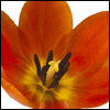 You Make a Difference -- Administrative Professional's Day Greeting Cards project from Yahoo! Greetings