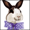 Big Smile -- Funny Easter Card project from Yahoo! Greetings