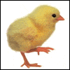 To You & Your Family -- Grandchildren Easter Card project from Yahoo! Greetings