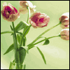 Wonderful Daughter -- Mother's Day Greeting Cards For Daughters project from Yahoo! Greetings