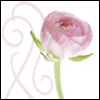 You've Been Practicing -- Mom-to-be Greeting Cards project from Yahoo! Greetings