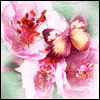 You're Like a Mom -- Mother's Day For Other Moms project from Yahoo! Greetings